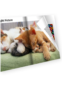 page-flip photo album